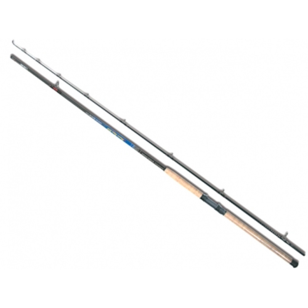 Спінінг Colmic Power Spin 3.00m 30-80gr