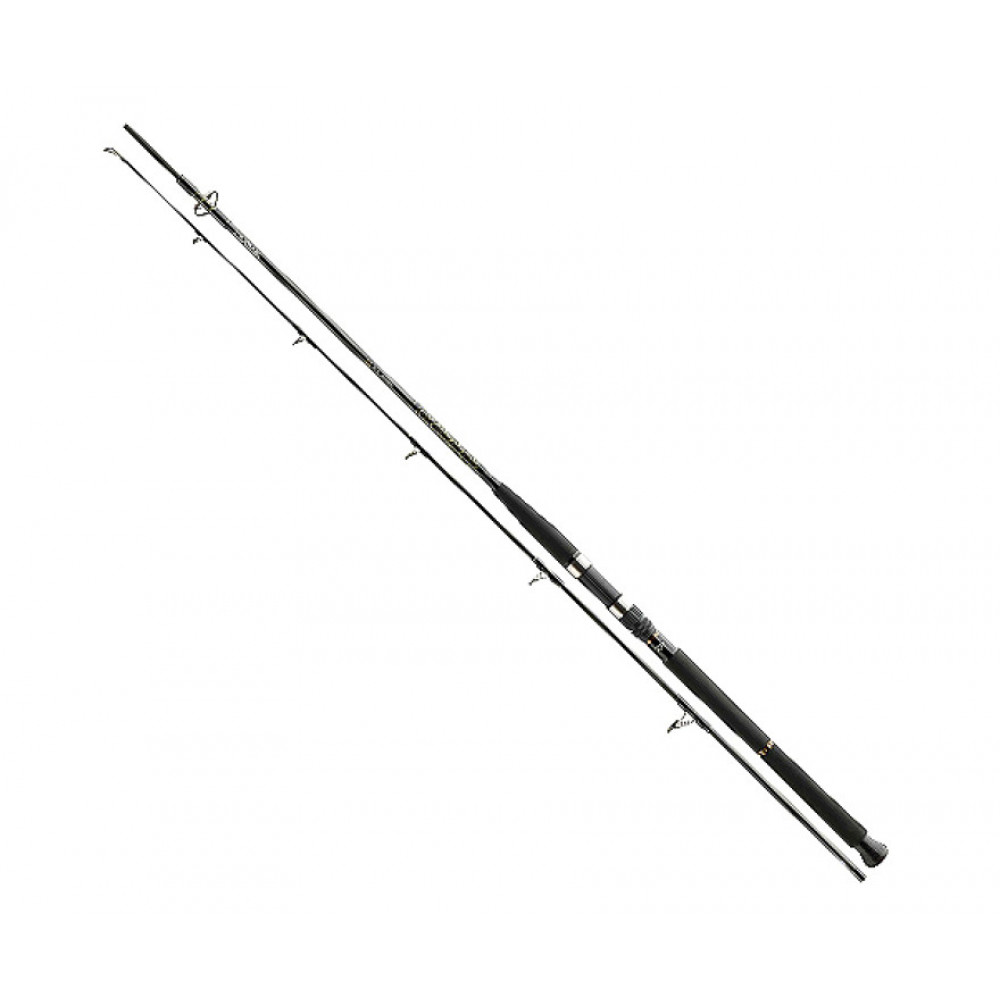 Спінінг Daiwa BG Boat 2,1m 150-400gr