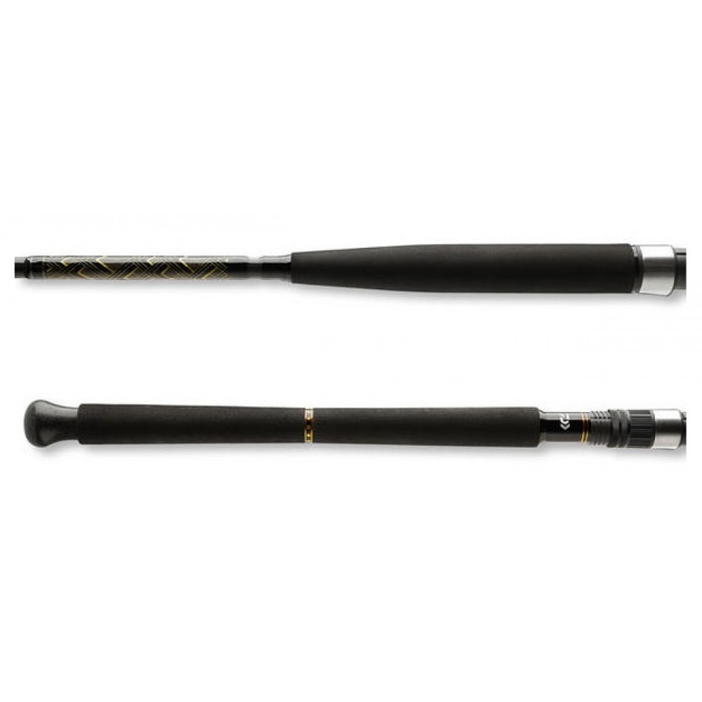 Спінінг Daiwa BG Boat 2,1m 150-400gr