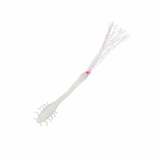 Силіконова приманка SAKURA AGRION 75 - 75MM - 049 (Ghost White) - Blister 2 pieces SAPLG502475-049