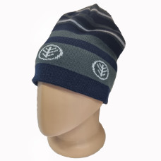 Шапка WYCHWOOD LOGO BEANIE